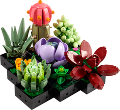 LEGO 10309 Botanicals Collection Succulents