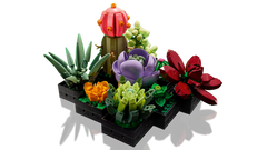 LEGO 10309 Botanicals Collection Succulents