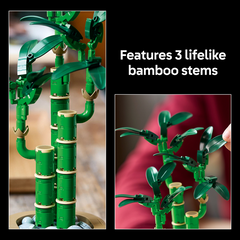 LEGO 10344 Botanicals Lucky Bamboo