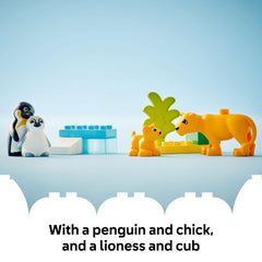 LEGO 10442 Duplo Wild Animal Families: Penguins & Lions