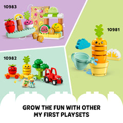 LEGO 10984 Duplo Organic Garden