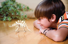 4M Kidz Labs Dinosaur Excavation Kit Stegosaurus