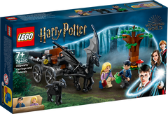 LEGO 76400 Harry Potter Hogwarts Carriage And Thestrals