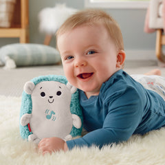 Fisher-Price Newborn Calming Vibes Hedgehog