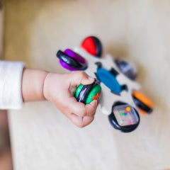 Baby Einstein Gadget Sensory Toy