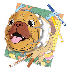 Crayola Pops 3D Activity Set - Pets