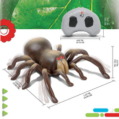 Discovery Remote Control Tarantula