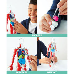 Discovery Mindblown 3D Human AnaTOMY Kit