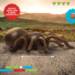 Discovery Remote Control Tarantula