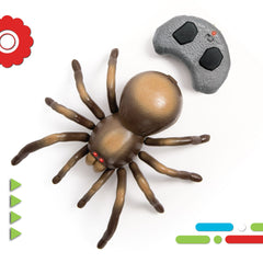 Discovery Remote Control Tarantula