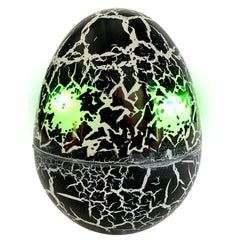 Dragons Hatching Toothless