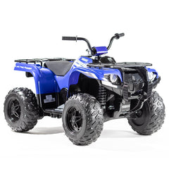 Yamaha 24 Volt Grizzly Atv Blue