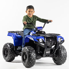 Yamaha 24 Volt Grizzly Atv Blue