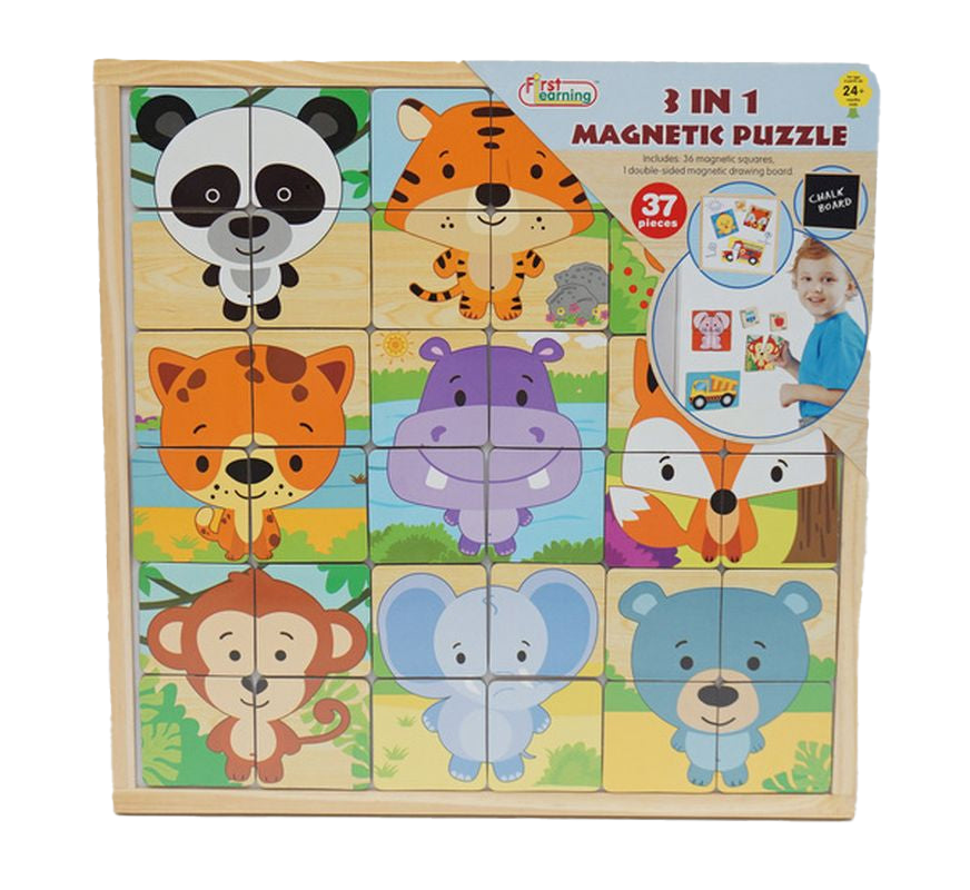 First Learning Wooden Magnetic Puzzle