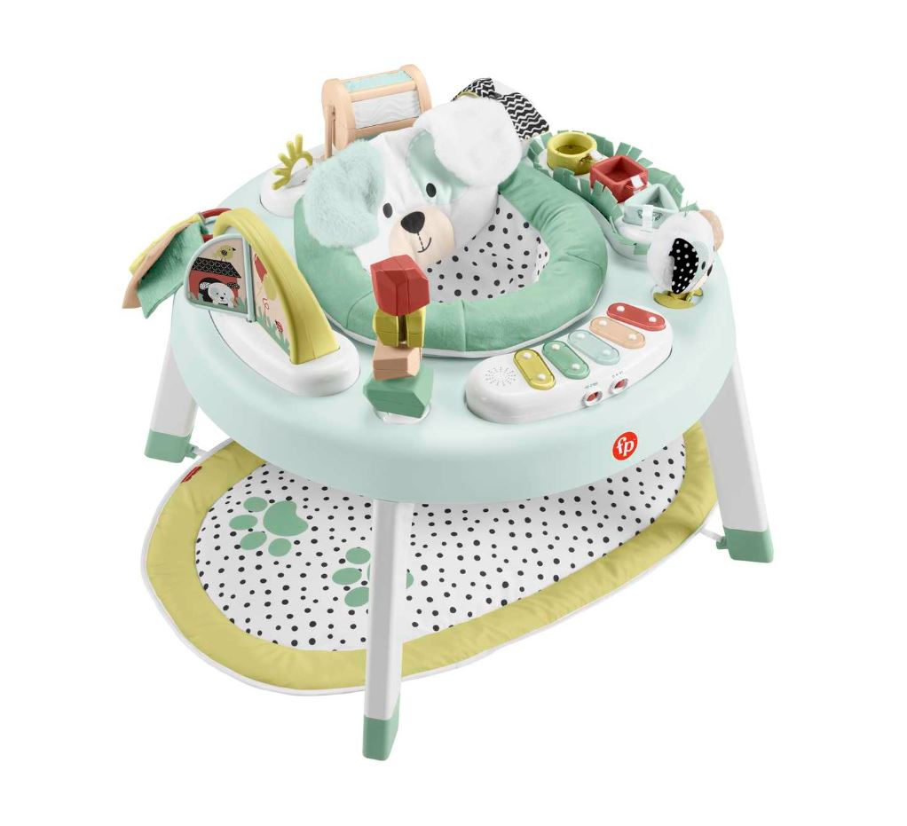 Fisher-Price 3 In 1 Snugapuppy Activity Center