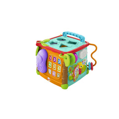 Fisher-Price Play & Learn Activity Cube