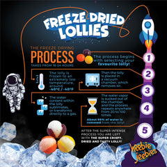 Heebie Jeebies Freeze Dried Lollies - Skittles