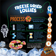 Heebie Jeebies Freeze Dried Lollies - Gummy Pizza
