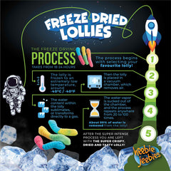 Heebie Jeebies Freeze Dried Lollies - Sour Worms