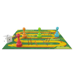 Giant Snakes And Ladders Game