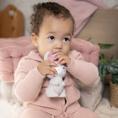 Ingenuity Sylvi Natural Rubber Teether Toy