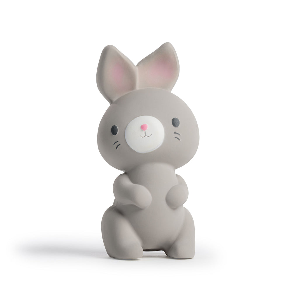 Ingenuity Sylvi Natural Rubber Teether Toy