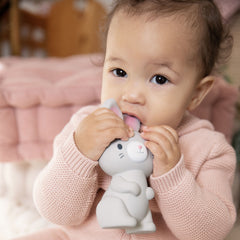 Ingenuity Sylvi Natural Rubber Teether Toy