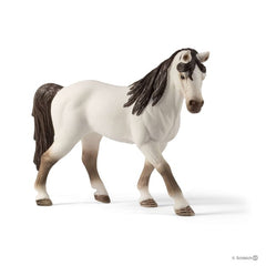 Schleich 5 Horses Collectors Set