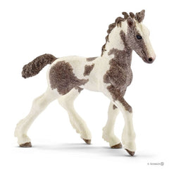 Schleich 5 Horses Collectors Set