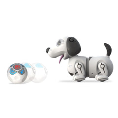 Silverlit Ycoo N' Friends Remote Control Robo Dackel